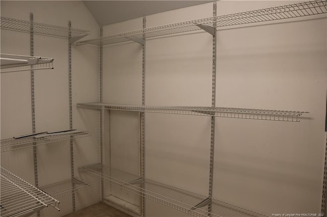 view of walk in closet