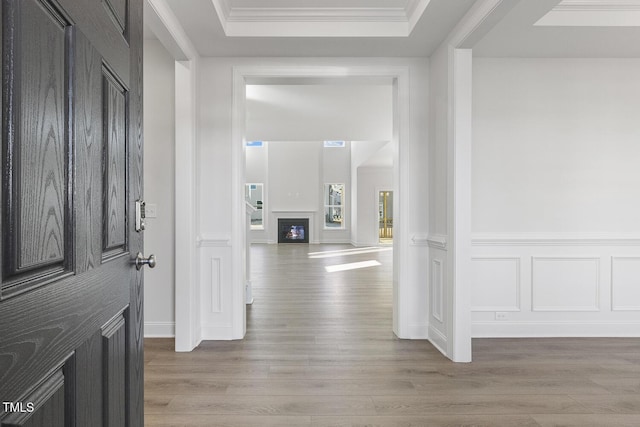 hall featuring a tray ceiling, crown molding, and hardwood / wood-style floors