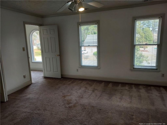 entryway featuring carpet flooring, ceiling fan, and a healthy amount of sunlight