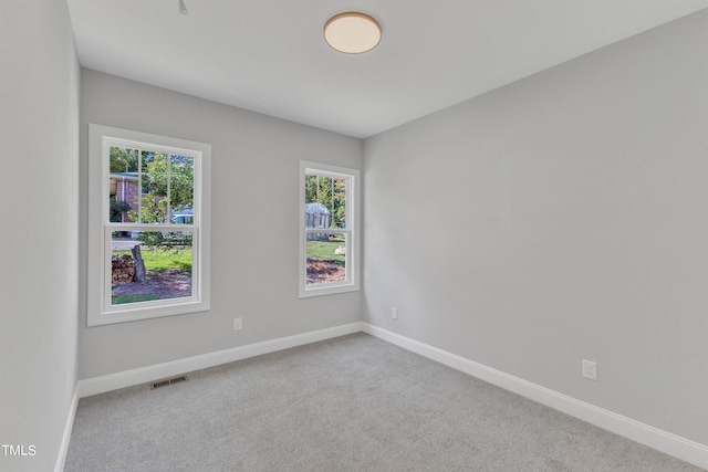 empty room featuring carpet flooring and a wealth of natural light