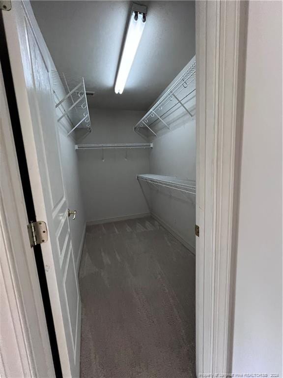 walk in closet with dark carpet