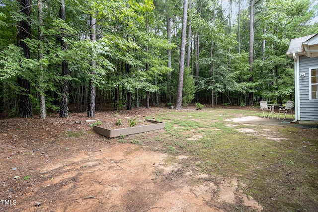 view of yard featuring a patio