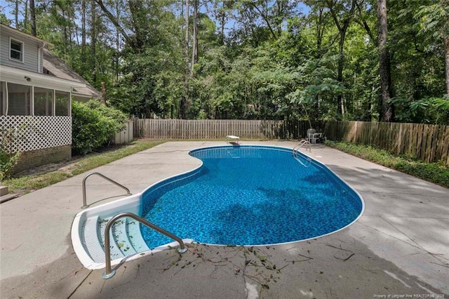 view of swimming pool featuring a sunroom, a patio, and a diving board