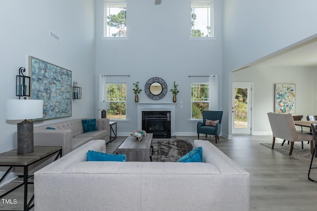 living room with a healthy amount of sunlight and hardwood / wood-style floors