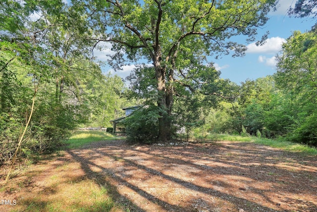 Moncure, NC 27559 - photo 4