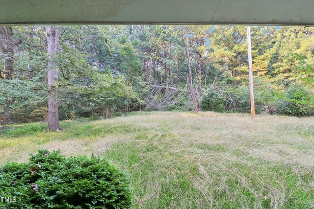 Moncure, NC 27559 - photo 5