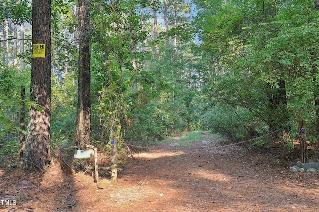 Moncure, NC 27559 - photo 18