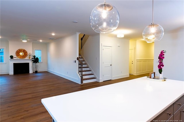 interior space featuring crown molding and dark hardwood / wood-style floors