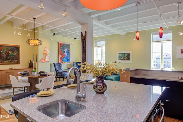 kitchen featuring sink, light hardwood / wood-style flooring, and plenty of natural light