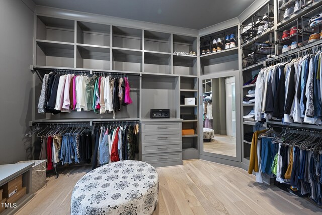 walk in closet featuring light hardwood / wood-style floors