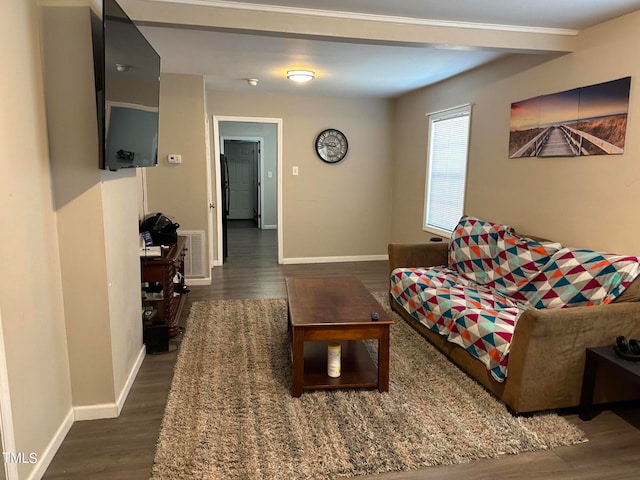 living room featuring dark wood-type flooring