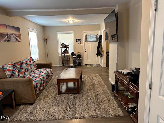 living room featuring dark hardwood / wood-style floors