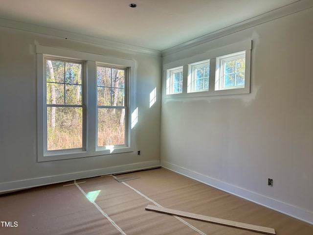 spare room with ornamental molding