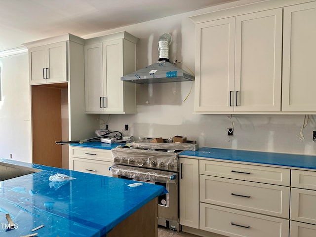 kitchen with ventilation hood and stainless steel gas range