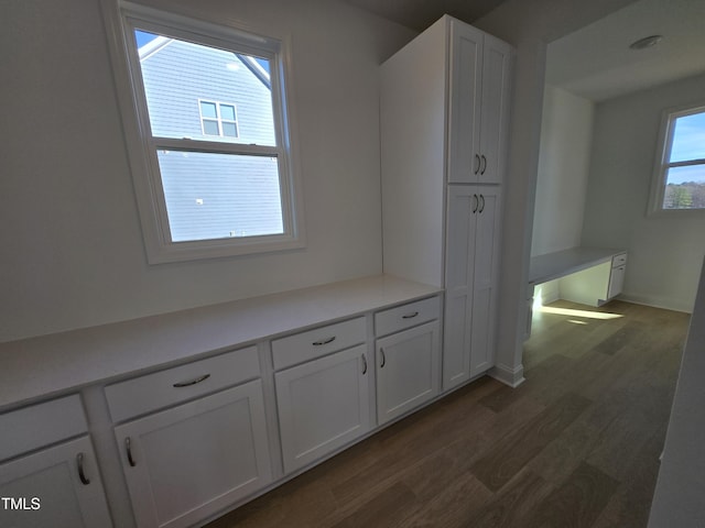 interior space featuring hardwood / wood-style floors