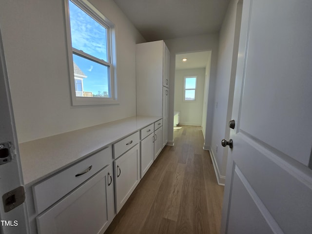 interior space with light hardwood / wood-style floors and plenty of natural light