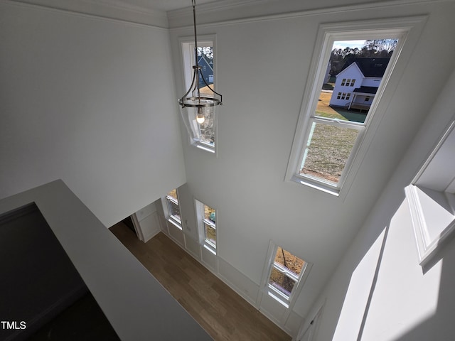 stairs featuring hardwood / wood-style floors and ornamental molding