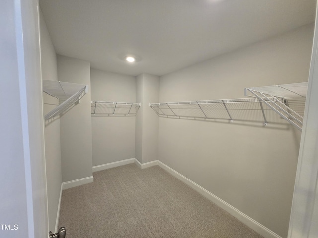 walk in closet featuring carpet