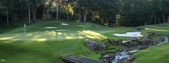 view of property's community featuring a yard