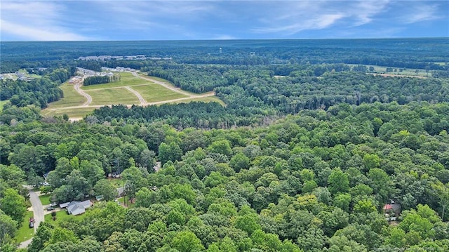 S Pointe, Sanford, NC 27332 - photo 9