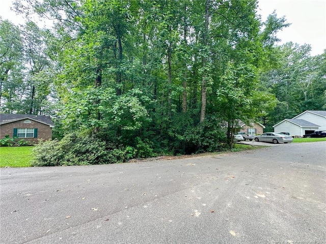 S Pointe, Sanford, NC 27332 - photo 15
