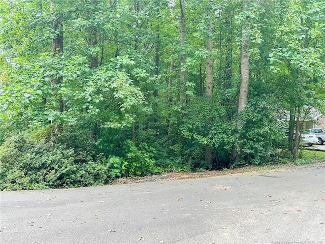 S Pointe, Sanford, NC 27332 - photo 16