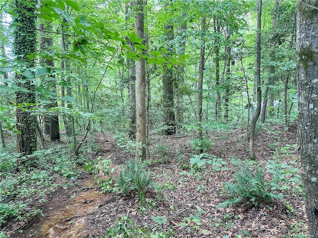S Pointe, Sanford, NC 27332 - photo 17