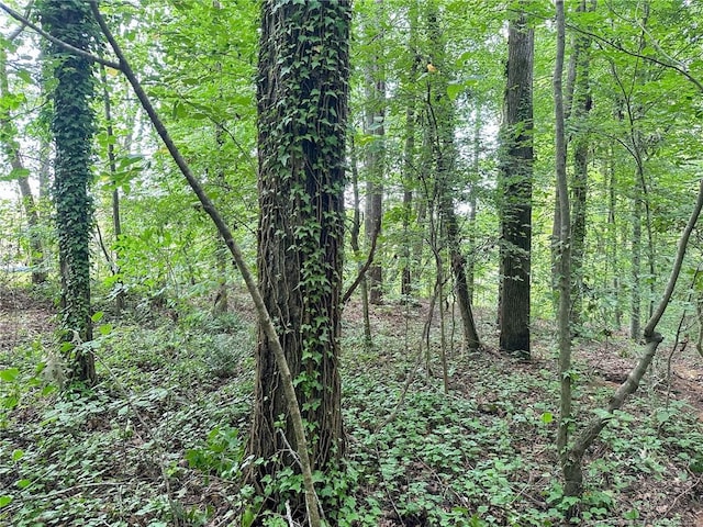 S Pointe, Sanford, NC 27332 - photo 18