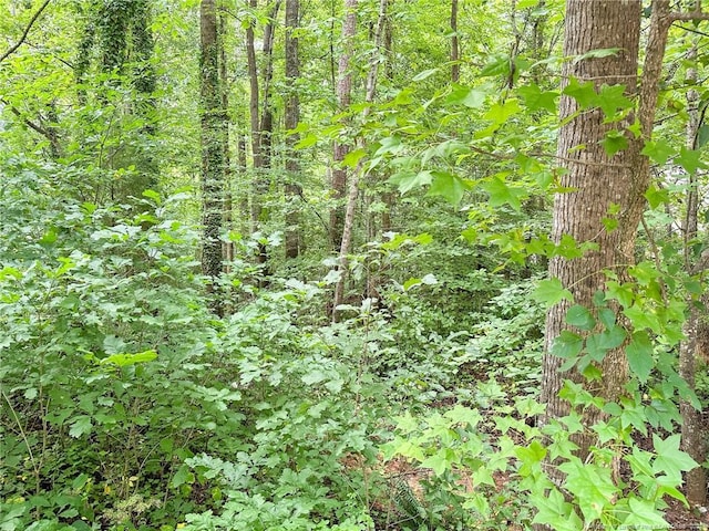 S Pointe, Sanford, NC 27332 - photo 19