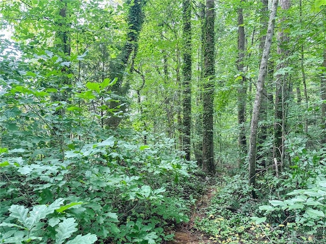 S Pointe, Sanford, NC 27332 - photo 20