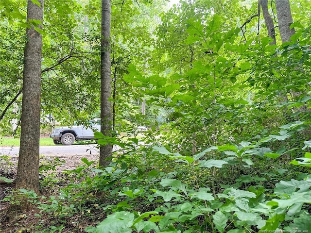 S Pointe, Sanford, NC 27332 - photo 21