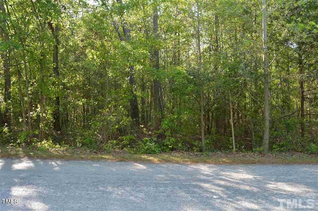 0 Old Stage Rd S, Erwin NC, 28334 land for sale