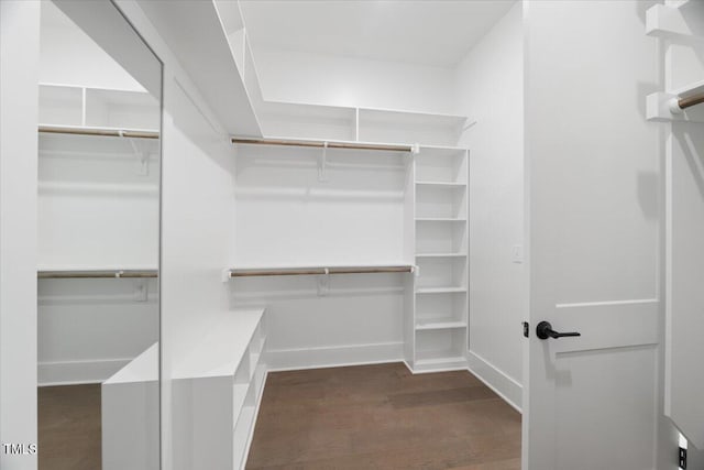 spacious closet featuring dark wood-type flooring