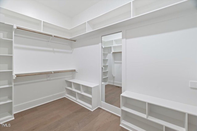 spacious closet featuring hardwood / wood-style flooring