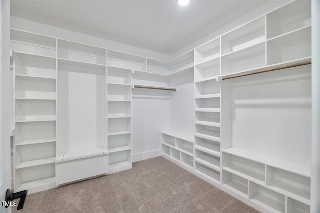 spacious closet with carpet flooring