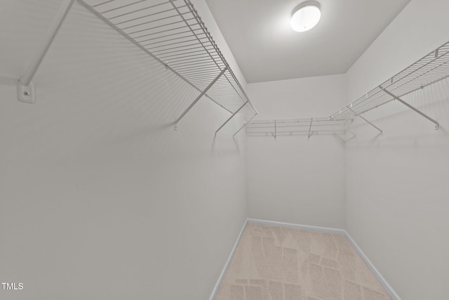 spacious closet featuring light carpet