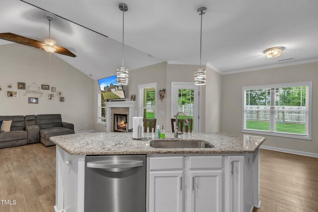 kitchen featuring stainless steel dishwasher, light hardwood / wood-style floors, hanging light fixtures, ceiling fan, and sink