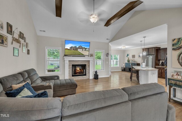 living room featuring a fireplace, hardwood / wood-style floors, and a wealth of natural light