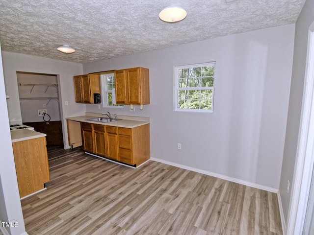 kitchen featuring sink, a textured ceiling, and light hardwood / wood-style floors