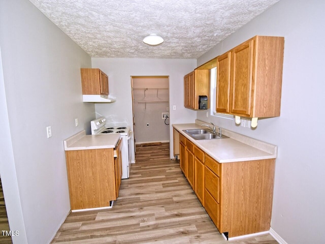 kitchen with sink, white electric range oven, light hardwood / wood-style flooring, and a textured ceiling