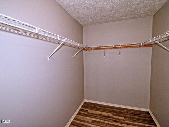 spacious closet with wood-type flooring