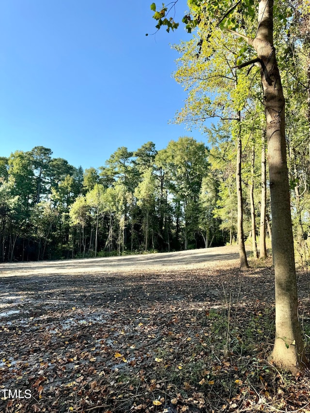 Listing photo 2 for LOT1 US Highway 301 S, Four Oaks NC 27524