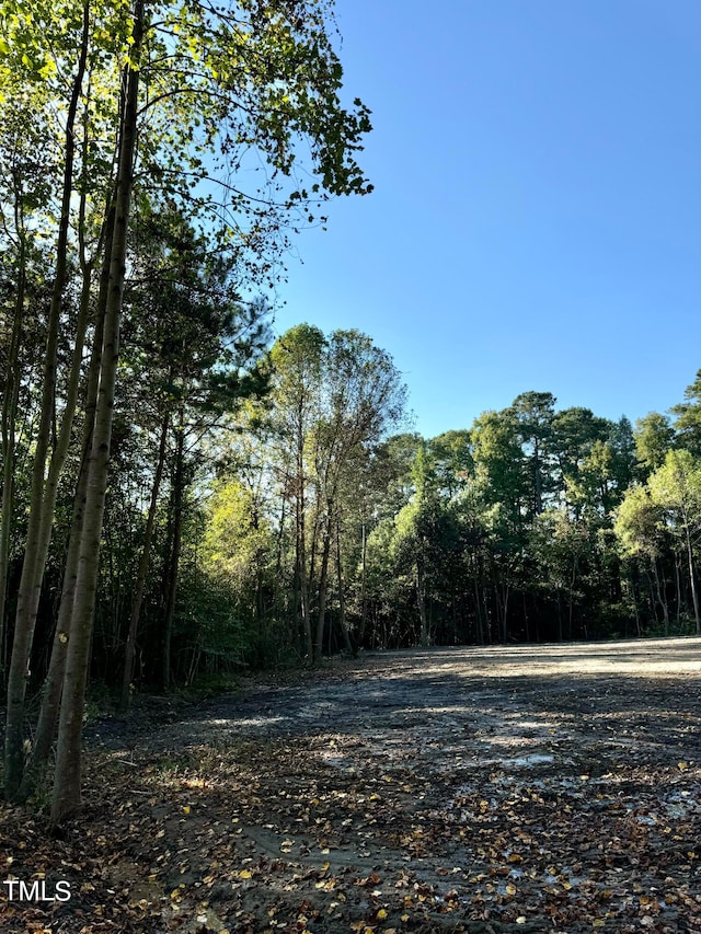 Listing photo 3 for LOT1 US Highway 301 S, Four Oaks NC 27524