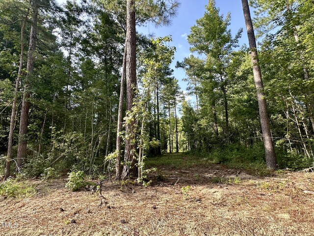 295 Old Eason Rd, Zebulon, NC 27597
