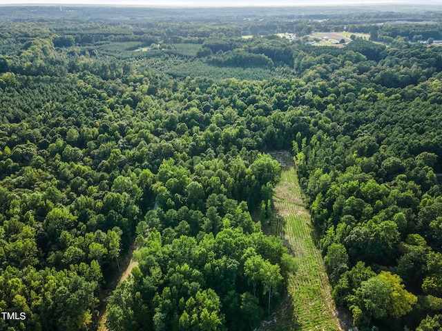 295 Old Eason Rd, Zebulon, NC 27597