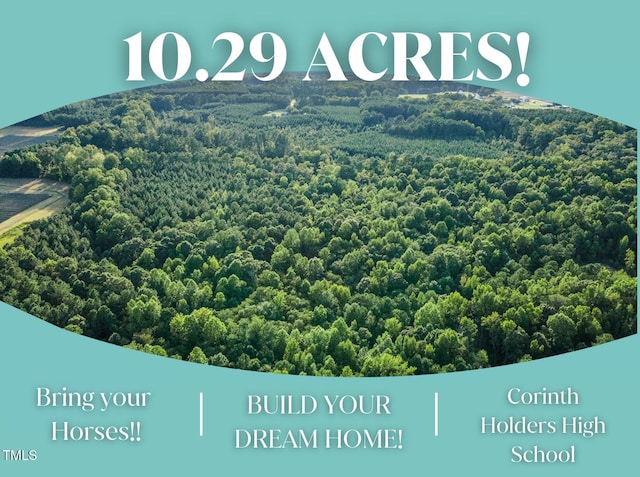 295 Old Eason Rd, Zebulon, NC 27597