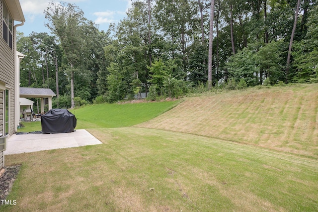 view of yard featuring a patio