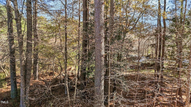 104 Fox Dr, Louisburg, NC 27549 - photo 4