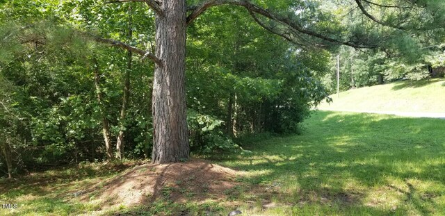 Listing photo 3 for 0 Egypt Mountain Rd, Kittrell NC 27544