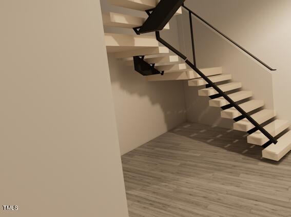 staircase featuring wood-type flooring